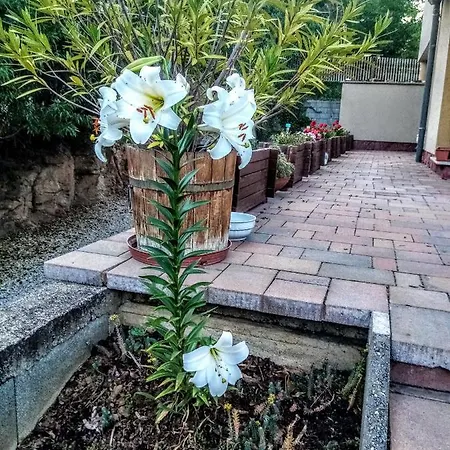 بيت ضيافة Aqua Révfülöp