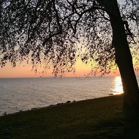 Aqua בית הארחה *