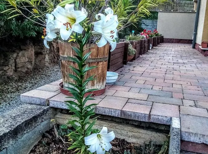 게스트하우스 Aqua 레브풀롭